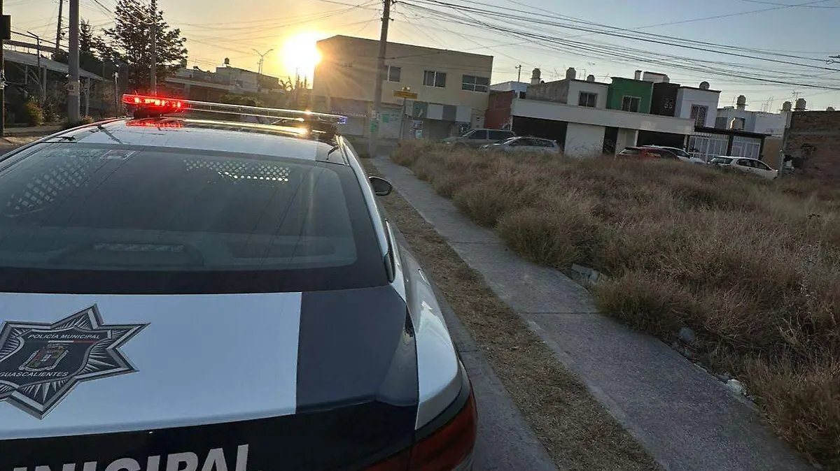 MEDIDAS-VIGILANCIA-ROBO