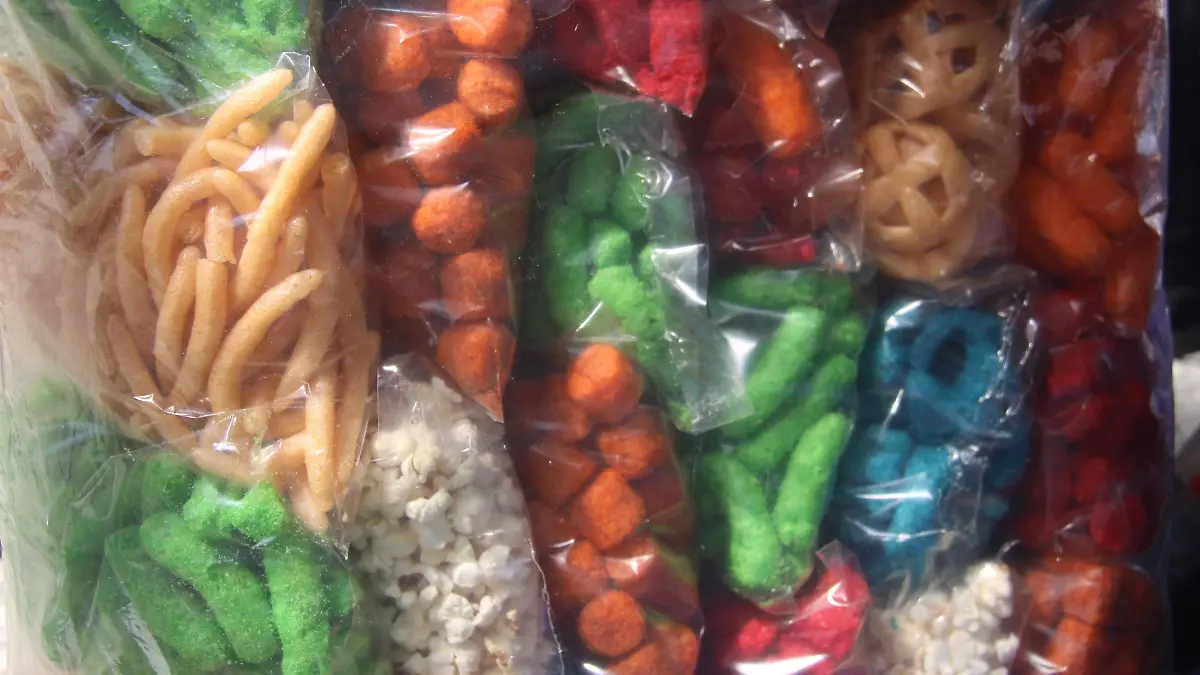 FRITURAS-COMIDA CHATARRA-BOTANAS