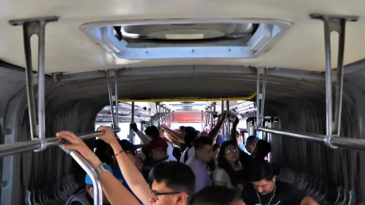 CAMIONES-RUTAS-FERIA