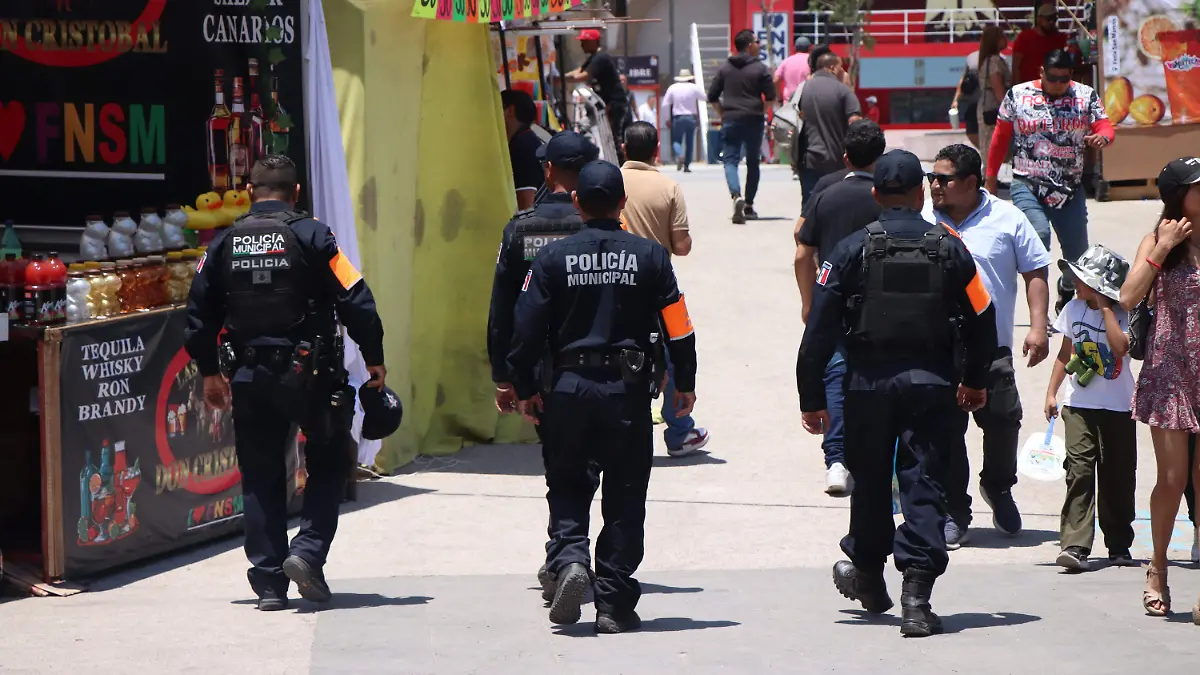 SEGURIDAD FERIA (2)
