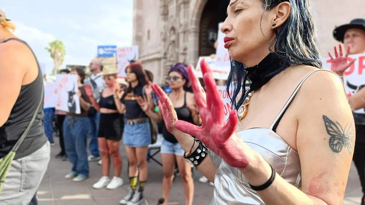 MARCHA ANTITAURINA-TOROS