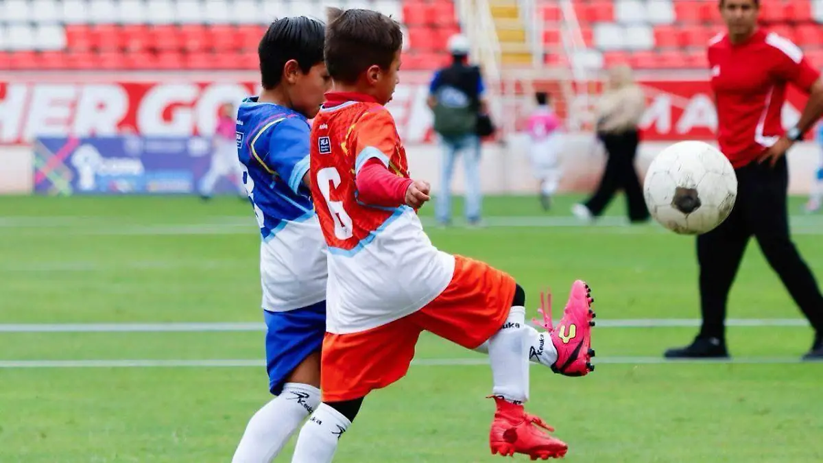 COPA1