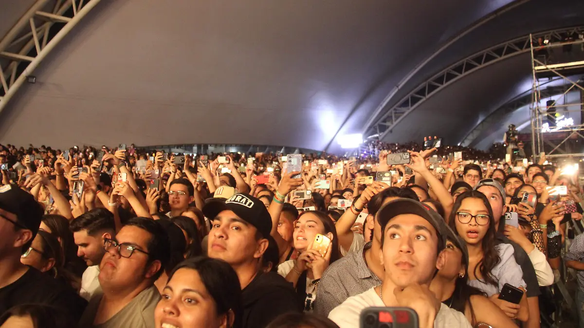 FERIA DE SAN MARCOS-ACTIVIDADES