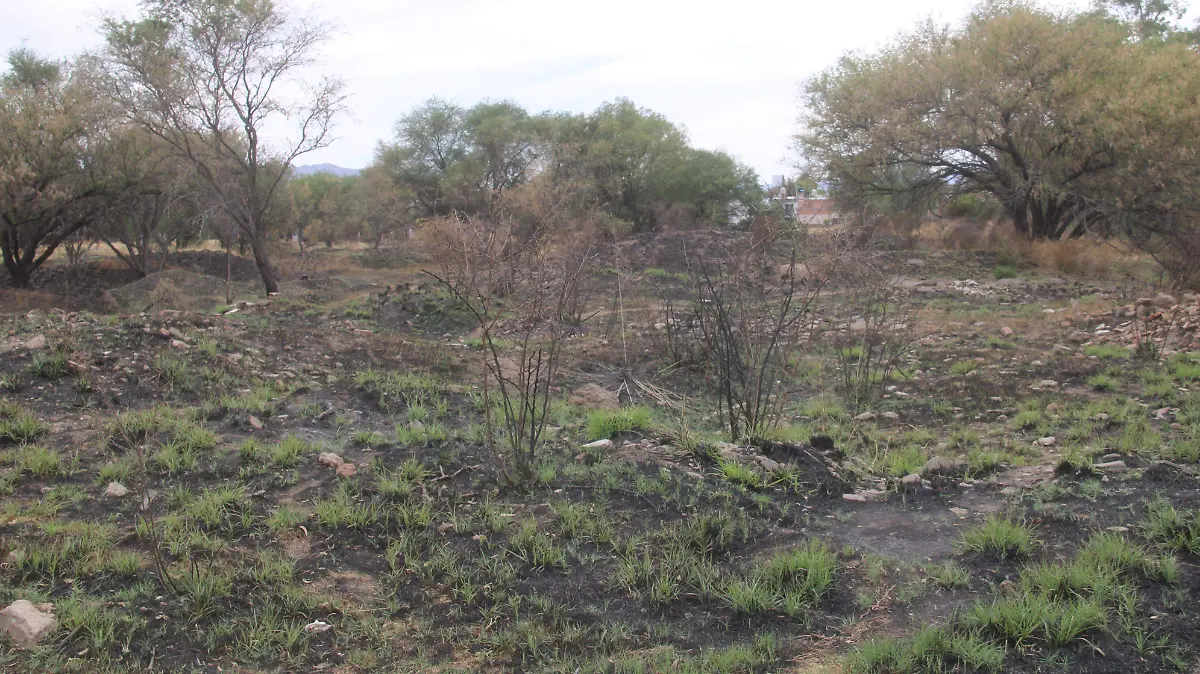 PONA-ÁREA PROTEGIDA-SEGURIDAD