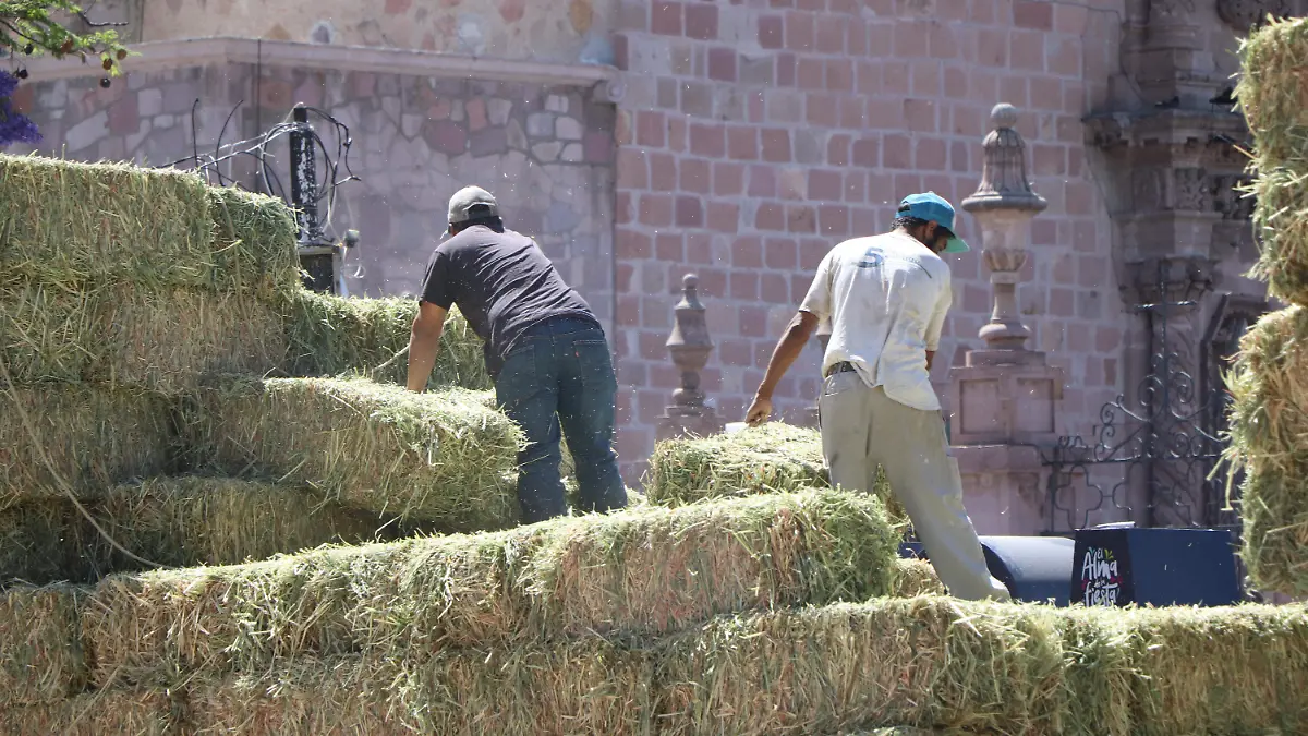 CANCHA-TORNEO DE PLAYA