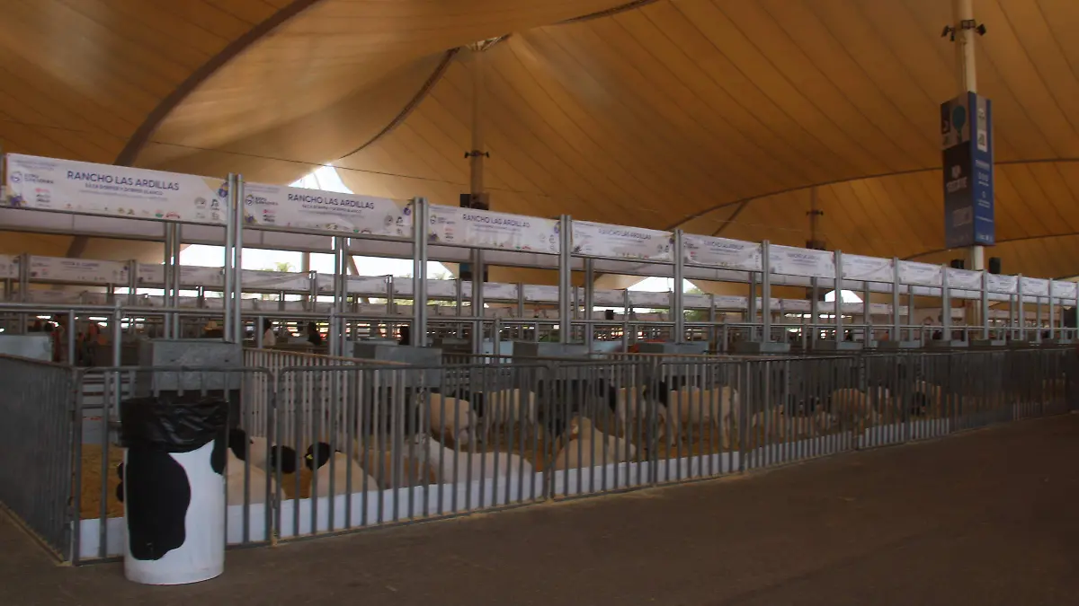 EXPO GANADERA (5)