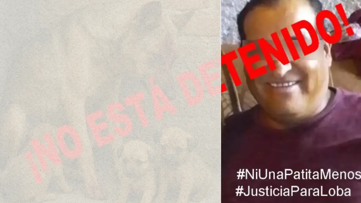 PERRO DE LA CALLE-DENUNCIA-AGRESIÓN