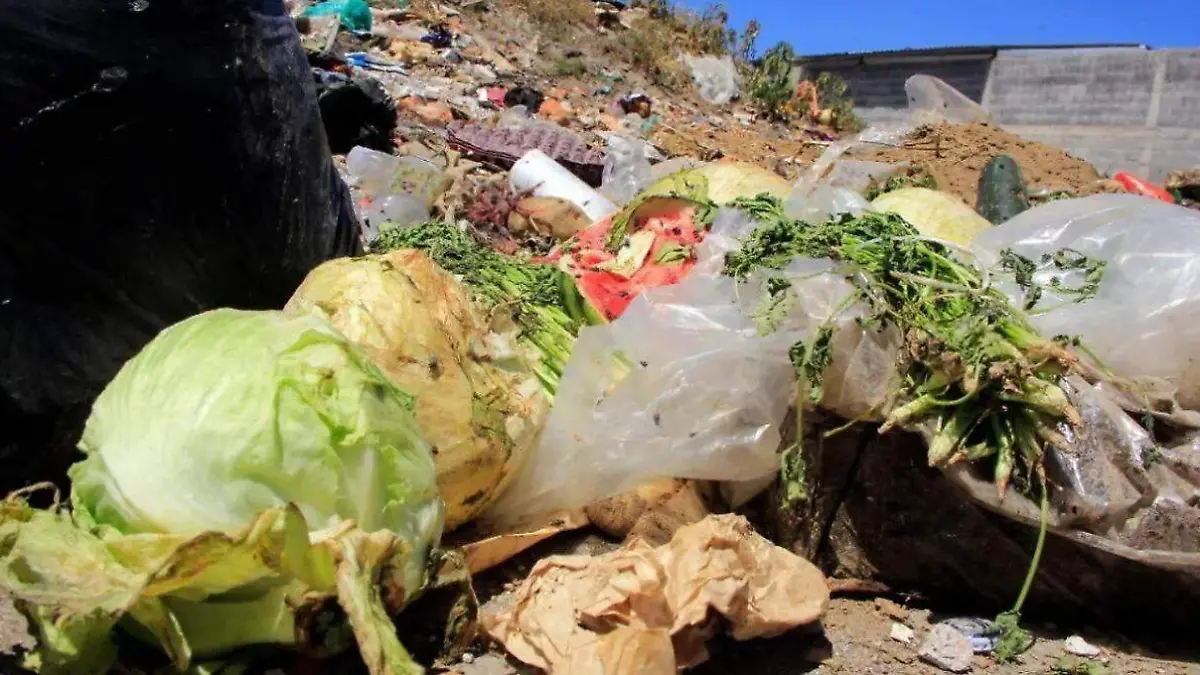 COMIDA-DESCOMPOSICIÓN-CALOR