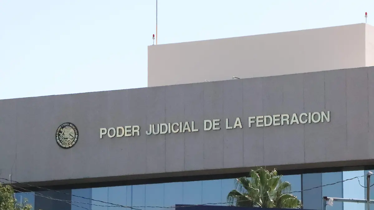 ELECCIONES JUDICIALES-VOTO-1 DE JUNIO