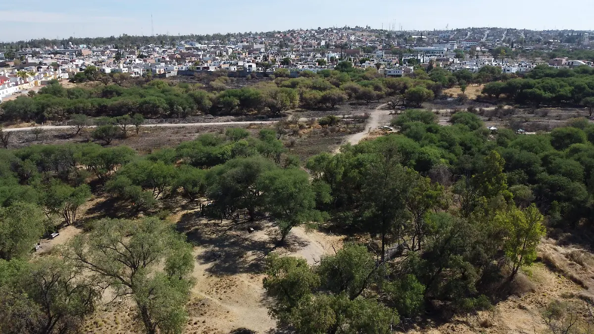 ALIANZA-PROGRAMA-ECOLÓGICO