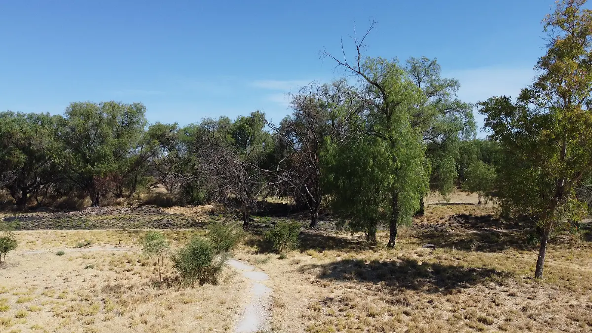 ALIANZA-PROGRAMA-ECOLÓGICO