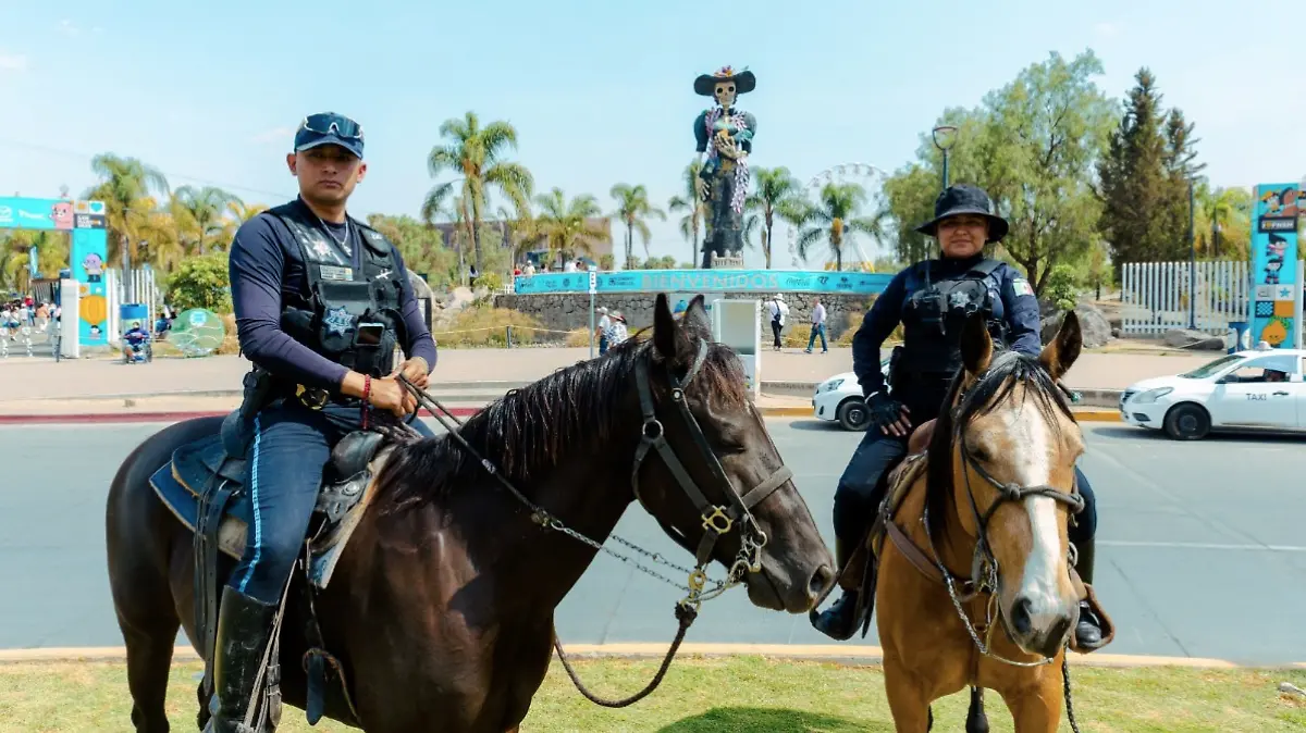 FERIA DE SAN MARCOS-SEGURIDAD