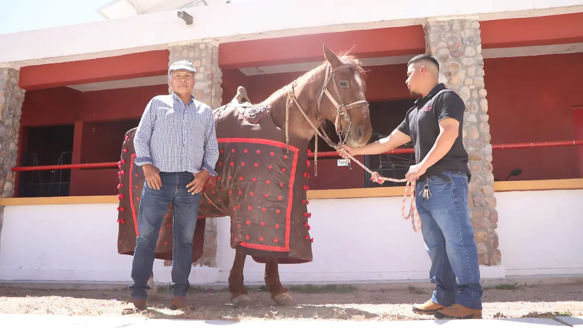 HOTELES CON TOROS  (5)