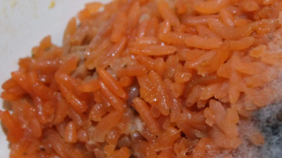 COMIDA EN MAL ESTADO-SANIDAD