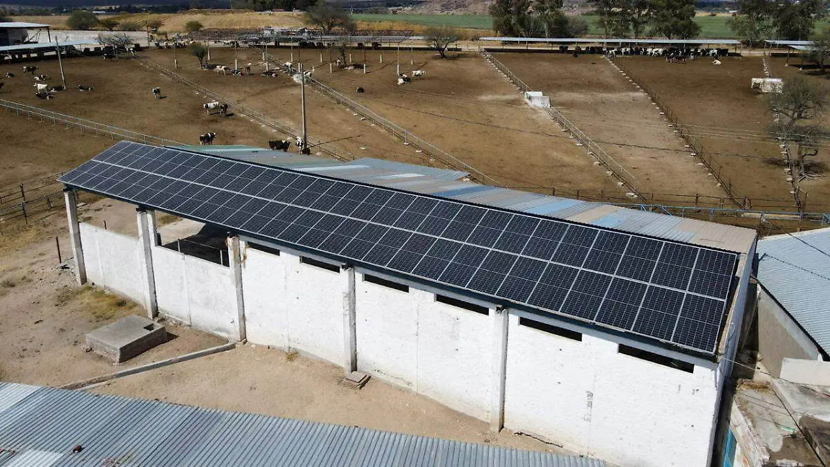 SEDRAE-PANELES SOLARES-PRODUCTORES