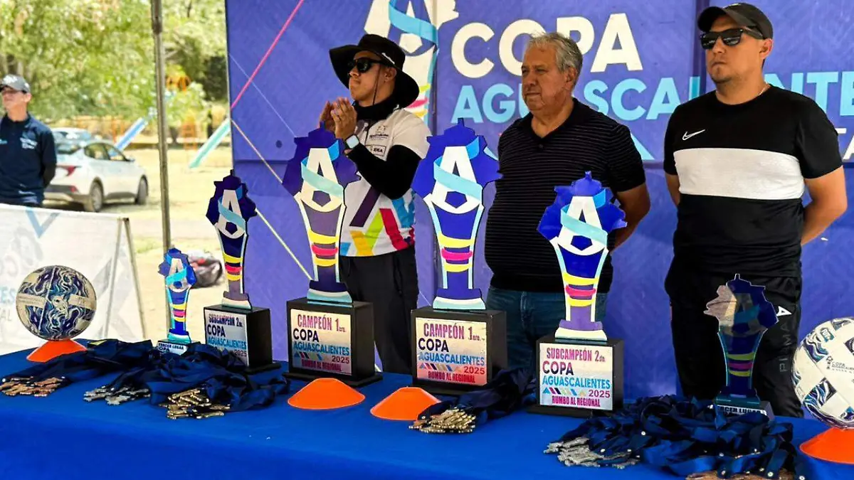 IDEA-FUTBOL INFANTIL-COPA