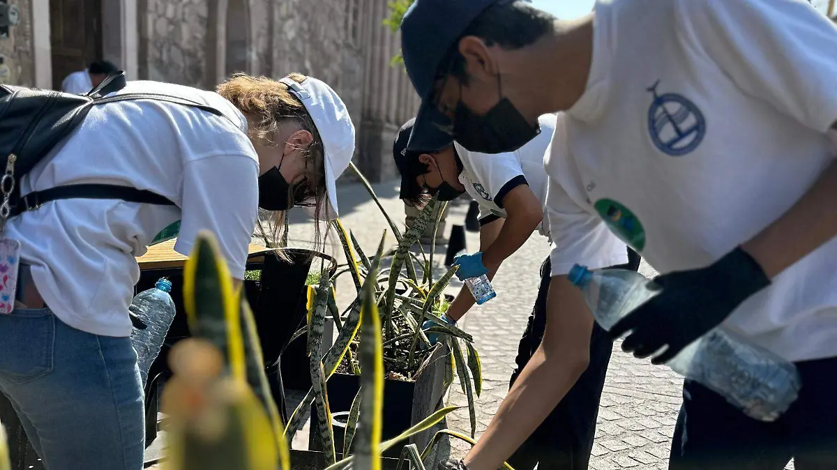 MIAA-RECOLECCIÓN-CIGARROS