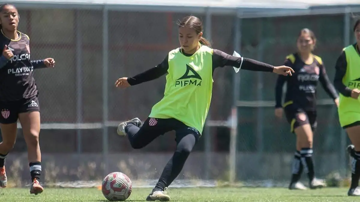 CENTELLAS-GUADALUPE WORBIS