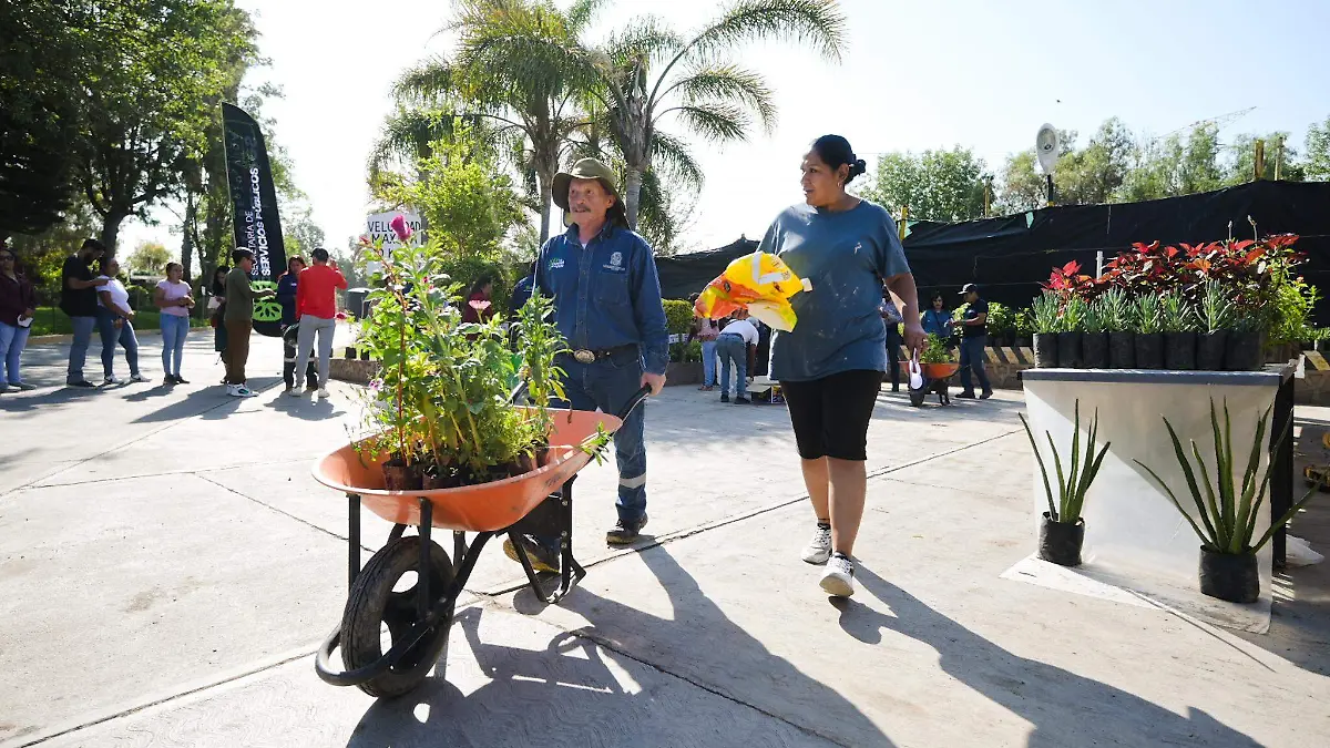 VIVERO-DONACIÓN DE PLANTAS