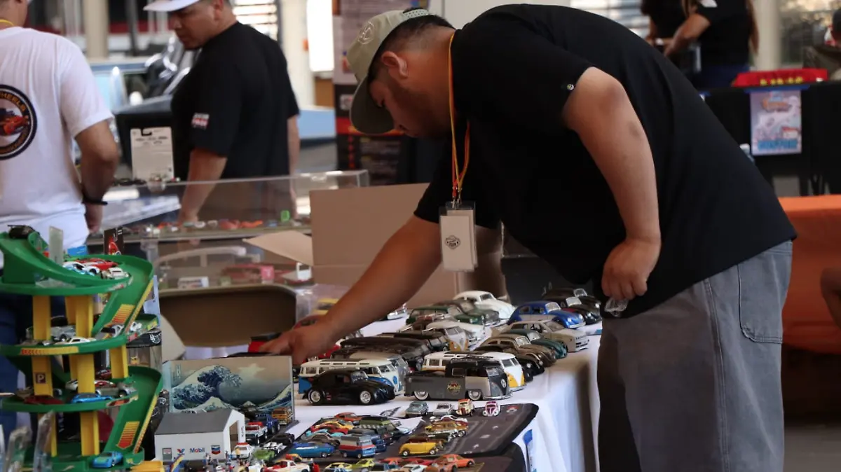 FESTIBUG-AUTOS-EXPOSICIÓN