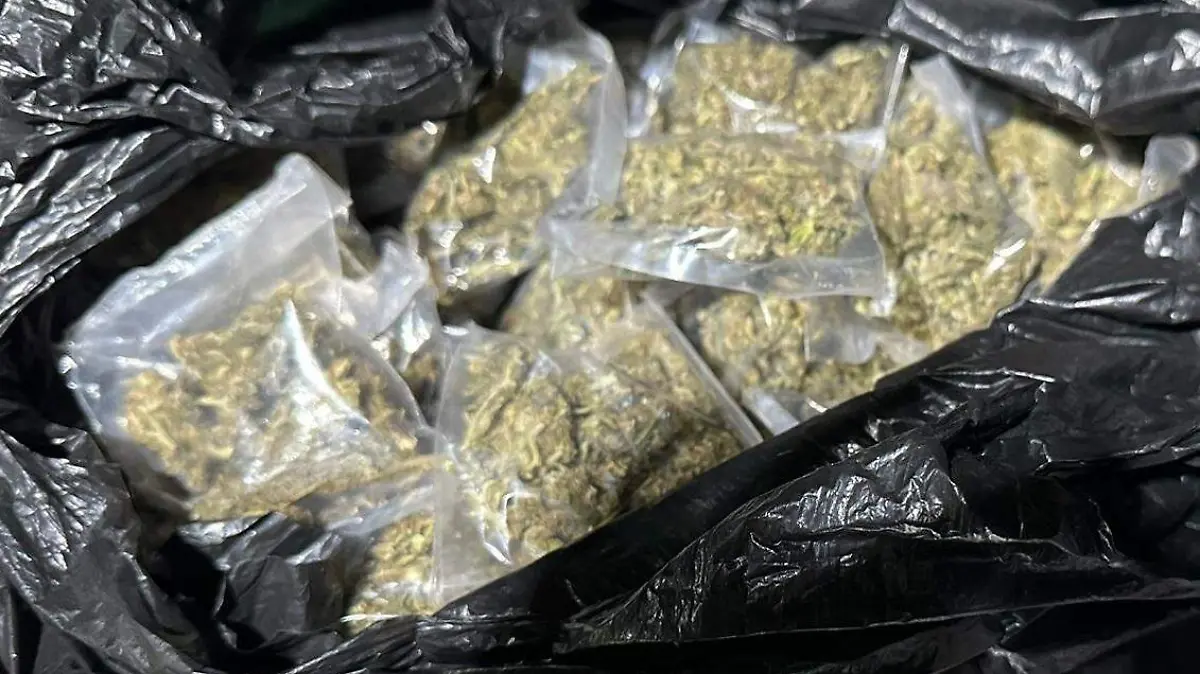 WhatsApp Image 2023-04-04 at 3.15.22 PM