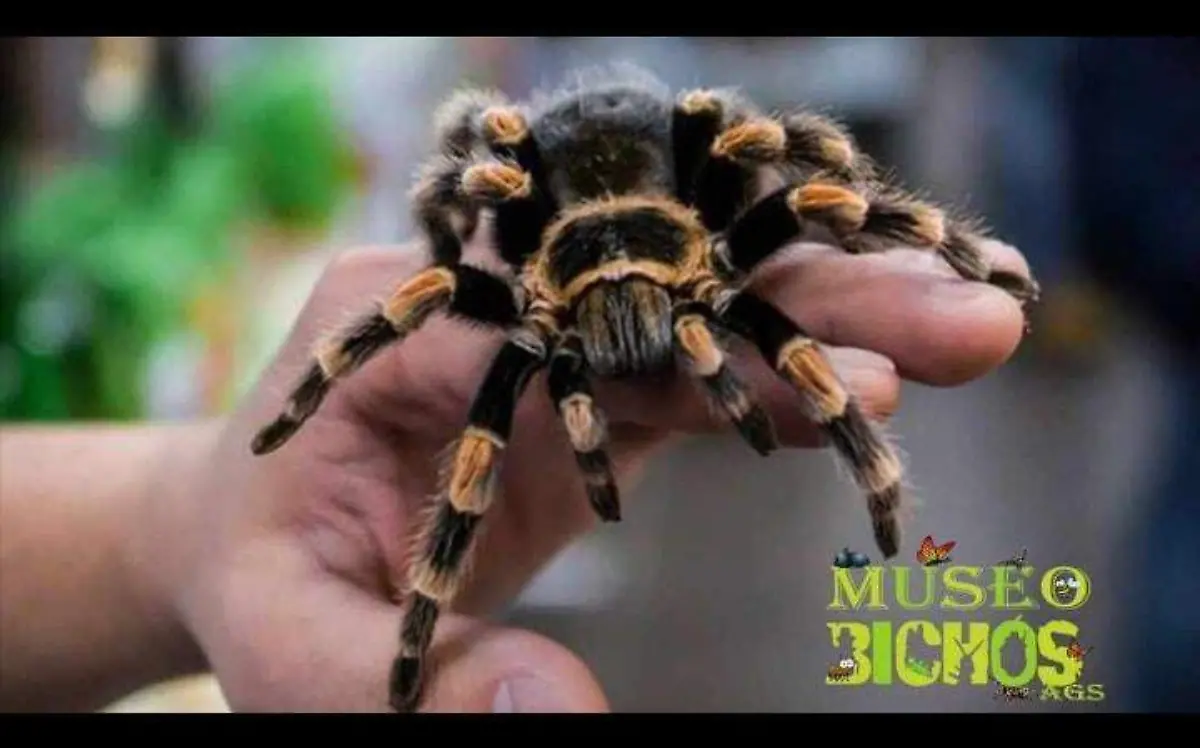 273204541_465736098347407_5760814537109062724_n