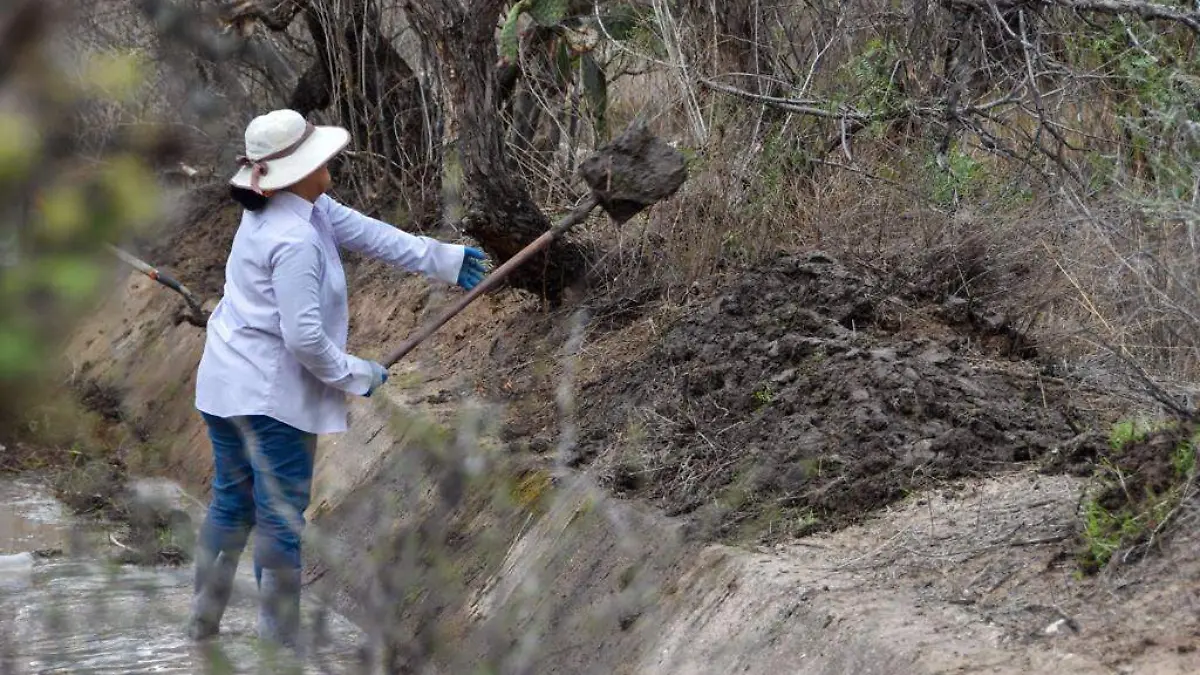 WhatsApp Image 2023-08-22 at 9.15.07 AM (10)