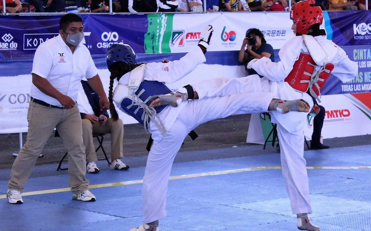 DEP03-IJGR-FESTIVAL TKD-01