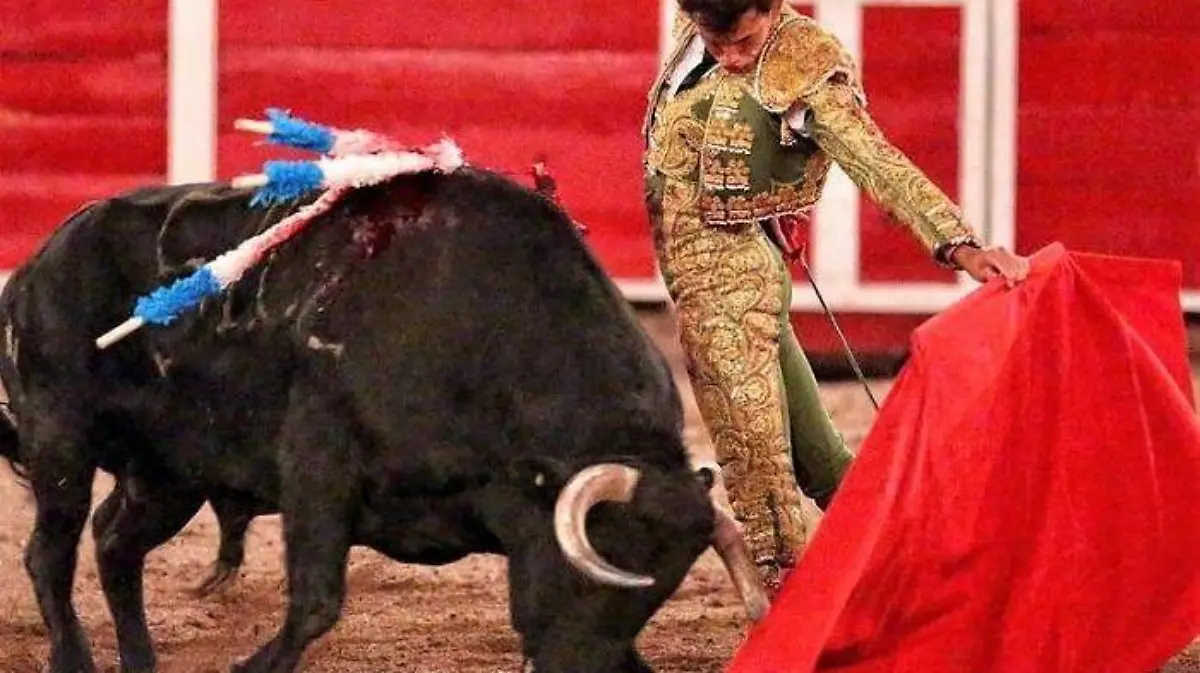 torosrojos