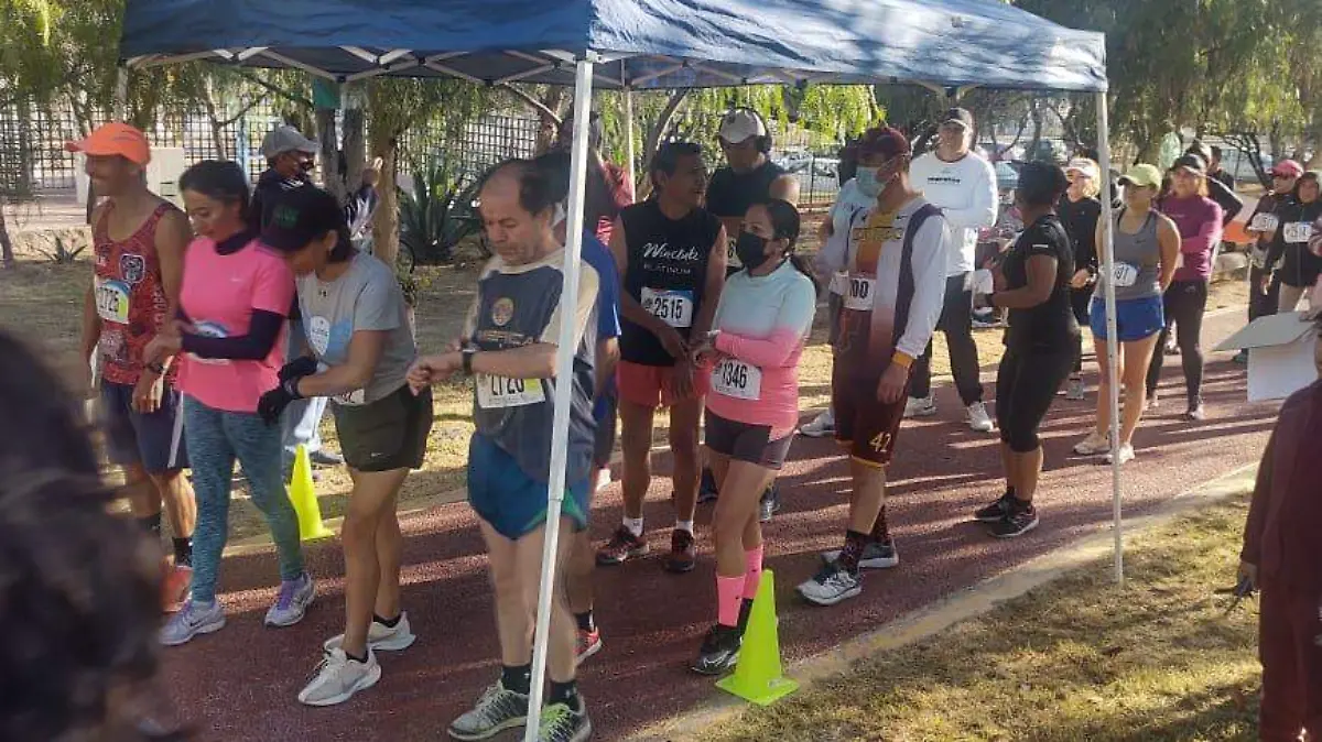 DEP02-IJGR-CT MASTER-01