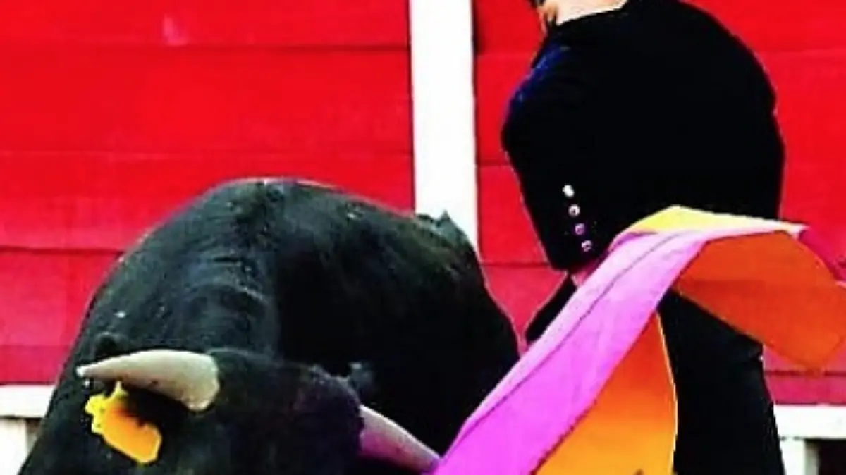 Captura de Pantalla 2019-07-31 a la(s) 15.55.02