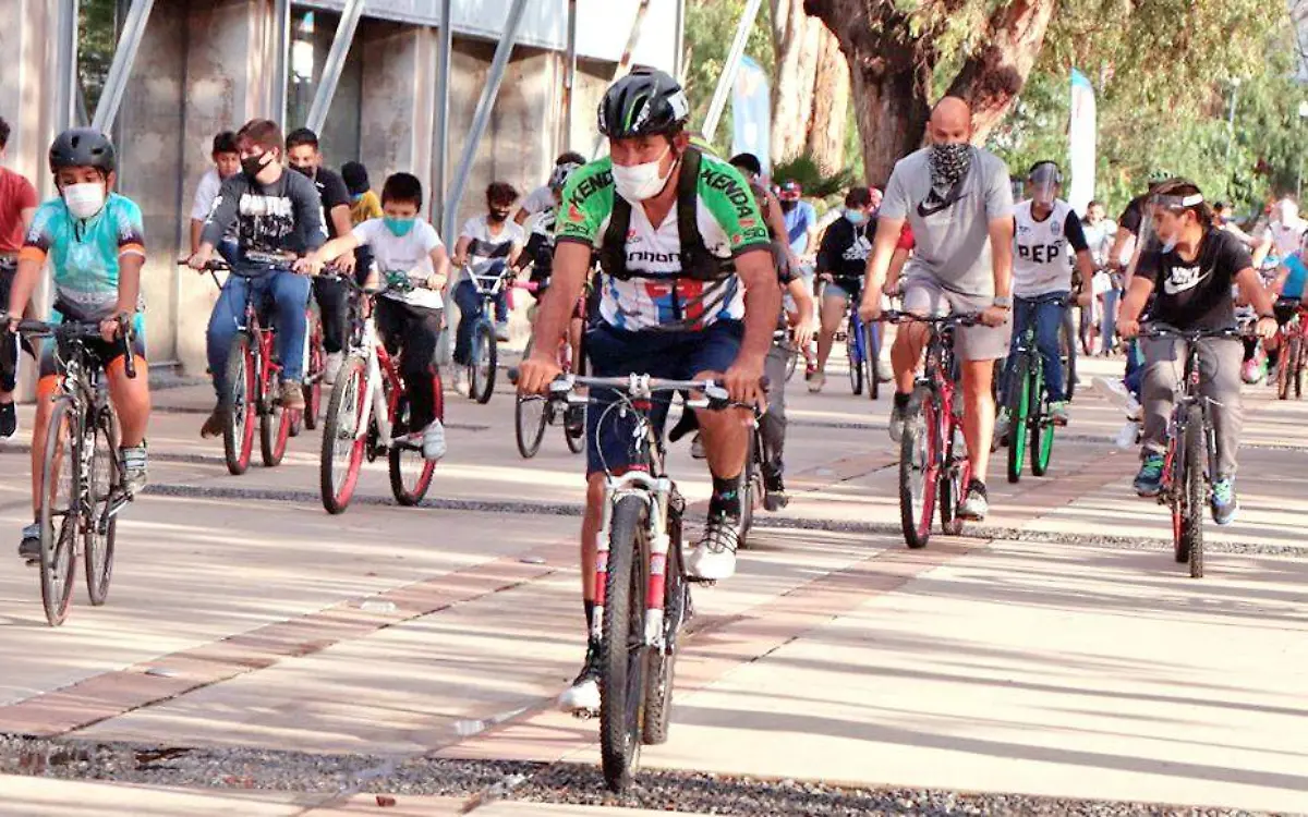 paseos en bicicleta