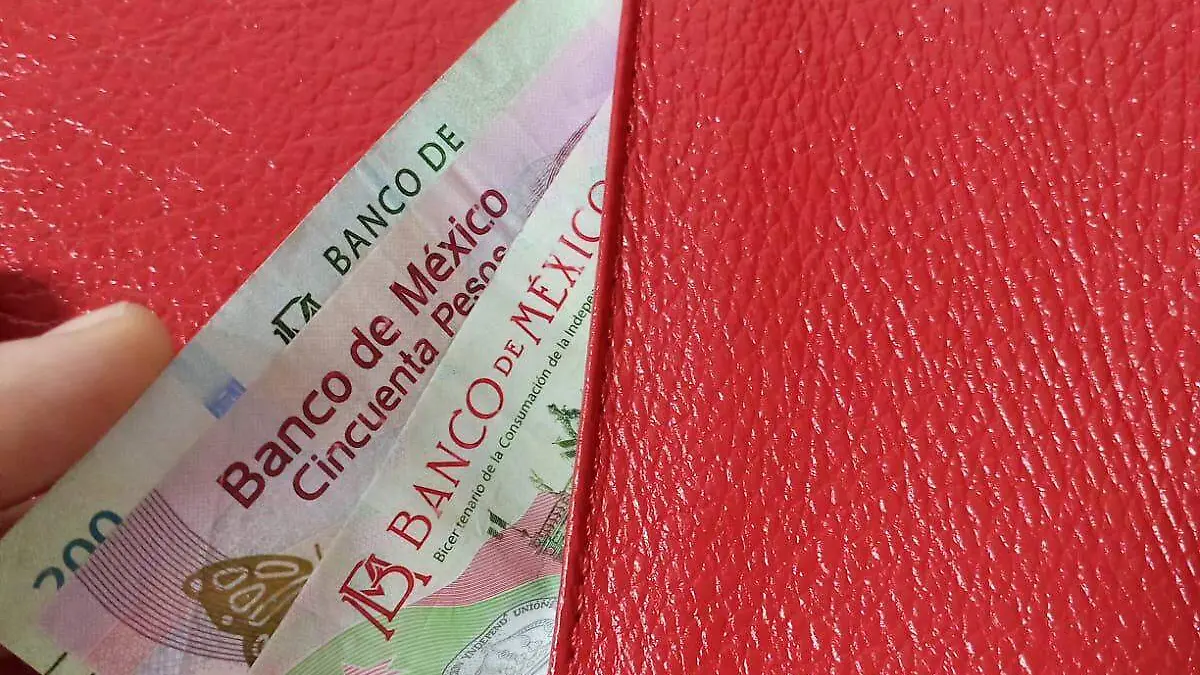 WhatsApp Image 2024-01-20 at 4.24.18 PM