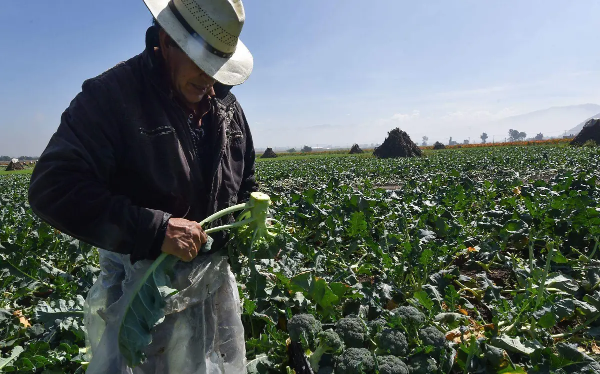 cuartoscuro_782540_digital