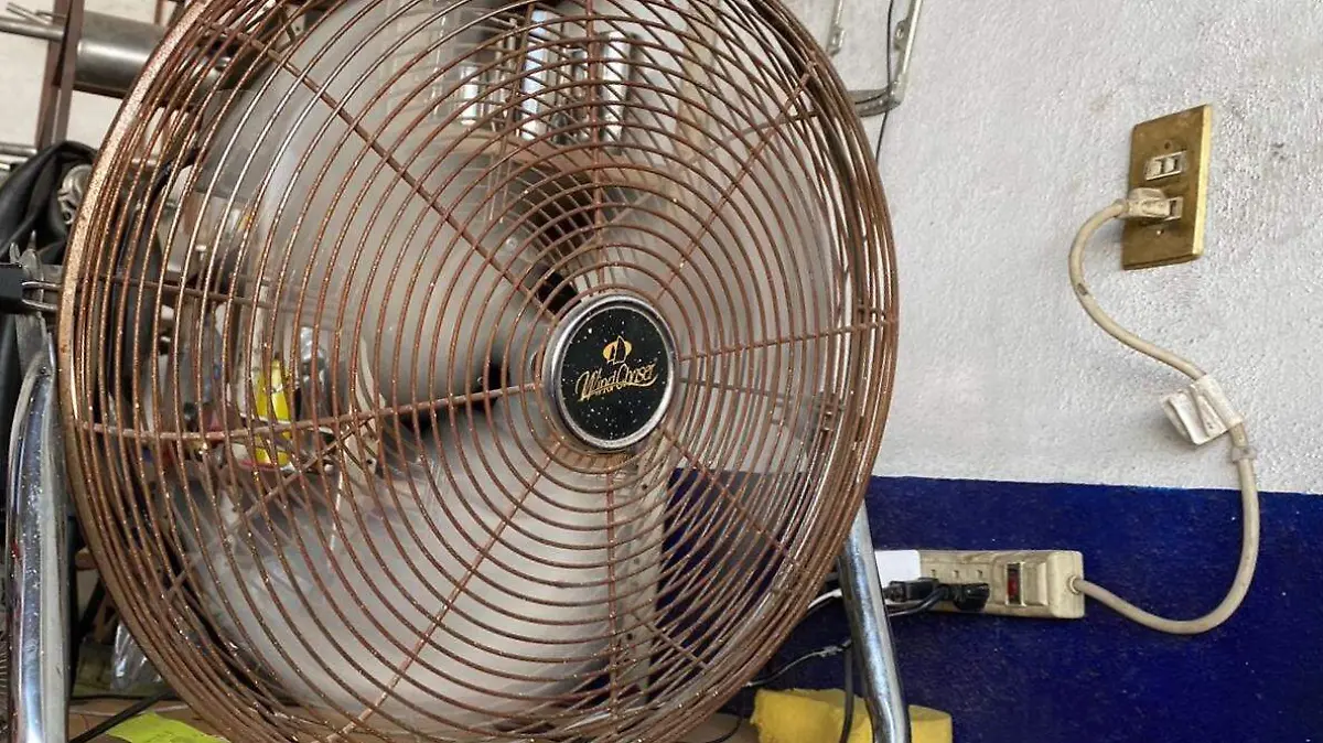 WhatsApp Image 2023-06-16 at 3.25.15 PM