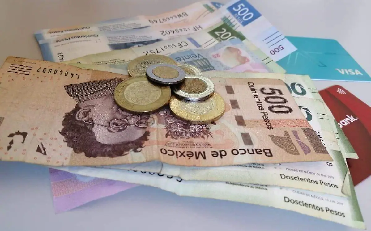 WhatsApp Image 2022-12-20 at 5.13.43 PM