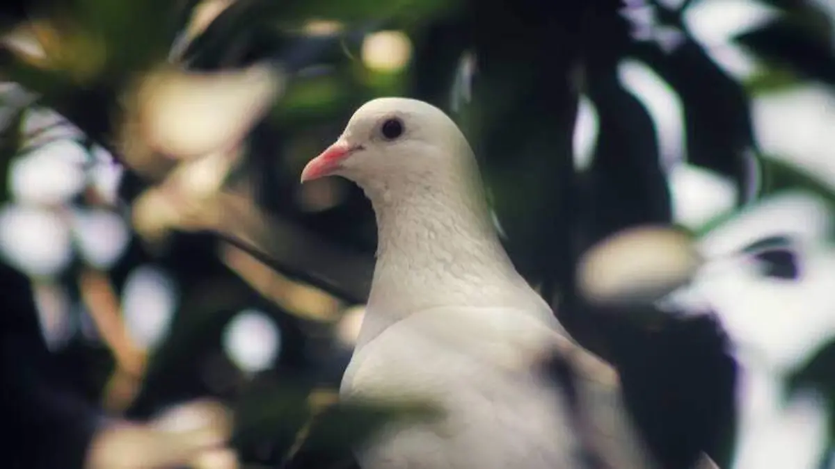 KBLOC-27-12-2023_106