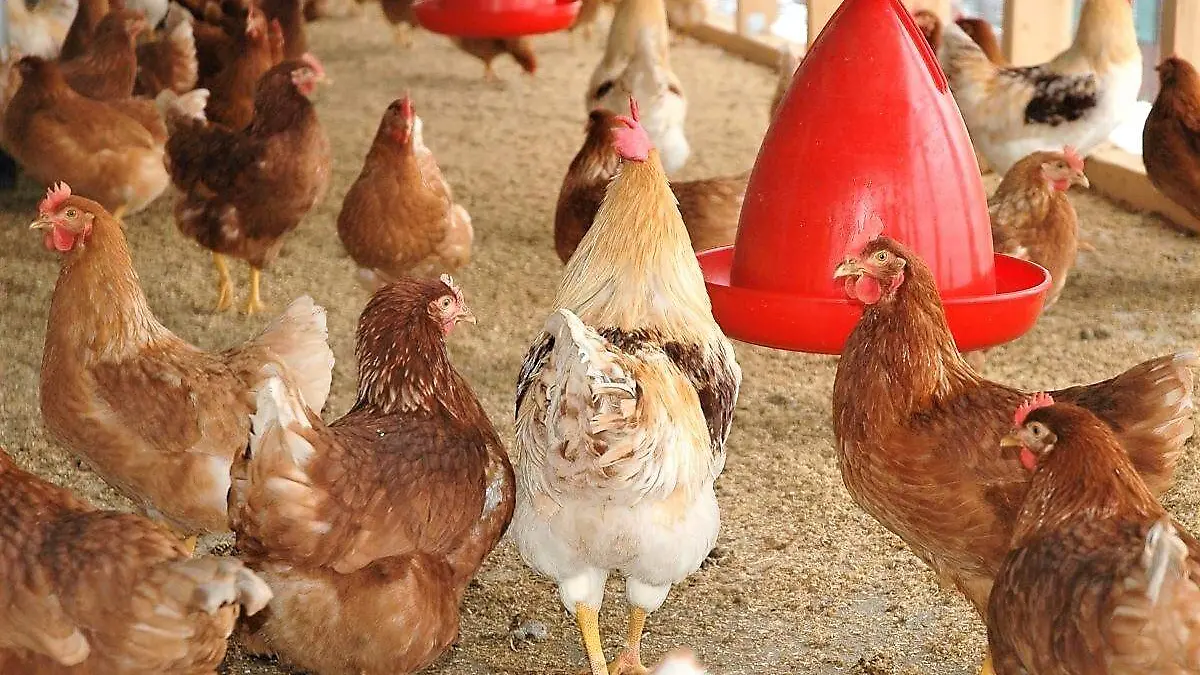 WhatsApp Image 2023-03-14 at 5.39.47 PM