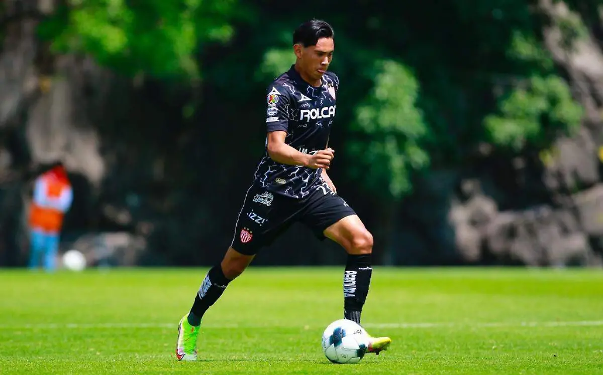 DEP01-IJGR-NECAXA-02