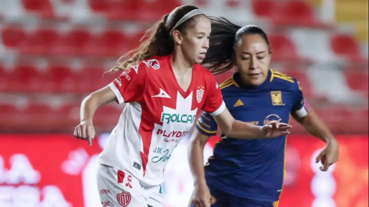 Captura de pantalla 2023-11-04 a la(s) 10.46.49