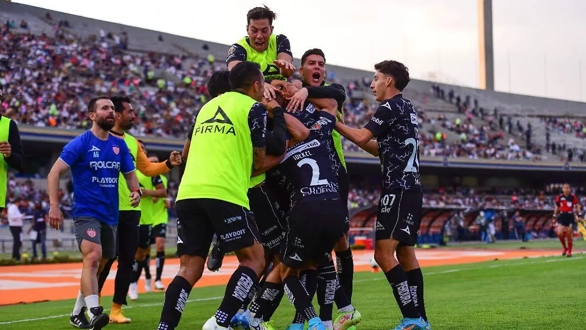 WhatsApp Image 2022-03-19 at 7.19.59 PM