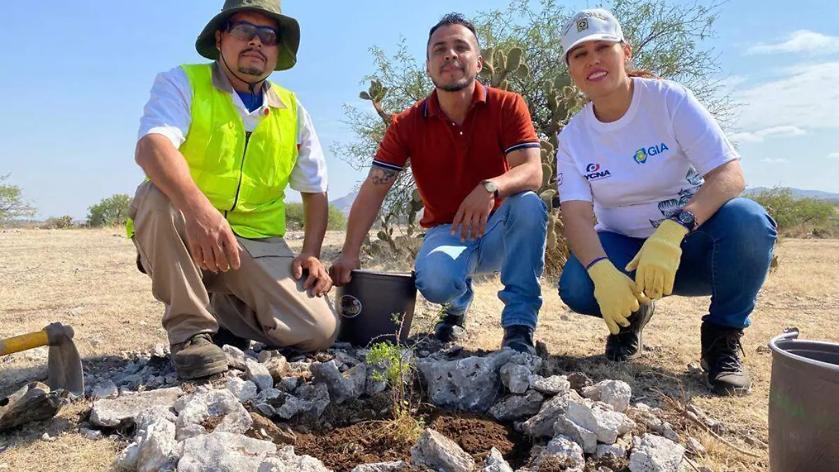 WhatsApp Image 2023-09-05 at 2.45.19 PM