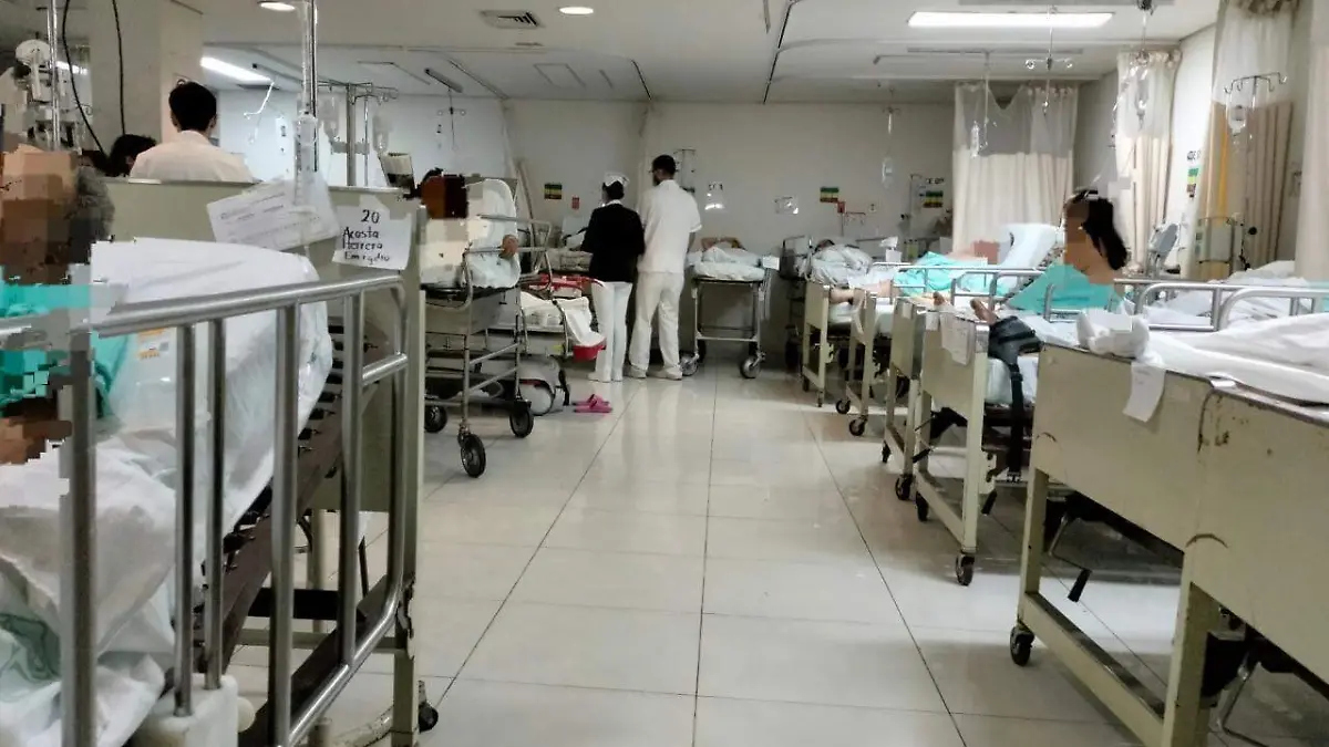 WhatsApp Image 2023-08-13 at 1.06.45 PM