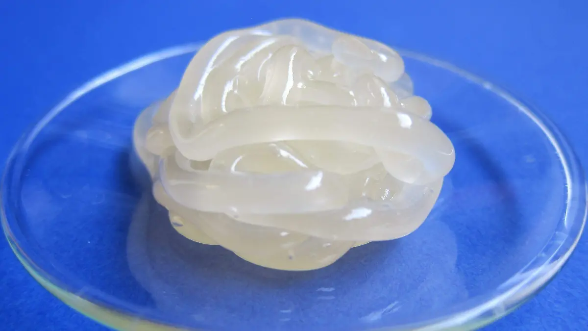 flower-food-ointment-dessert-lighting-cream-646239-pxhere.com