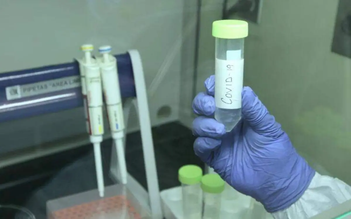 WhatsApp Image 2020-07-24 at 15.01.28