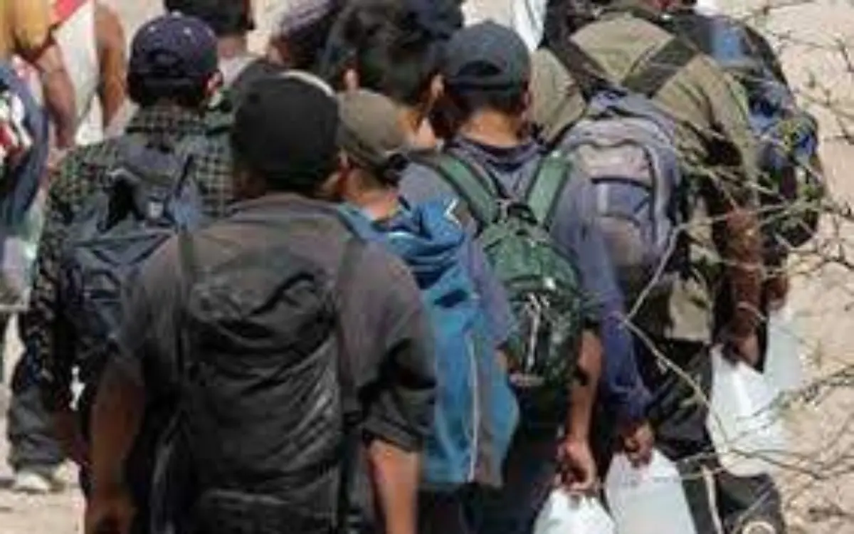 Migrantes  10