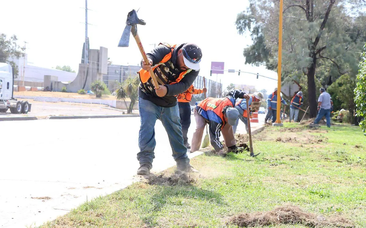 perfilado1 mpio