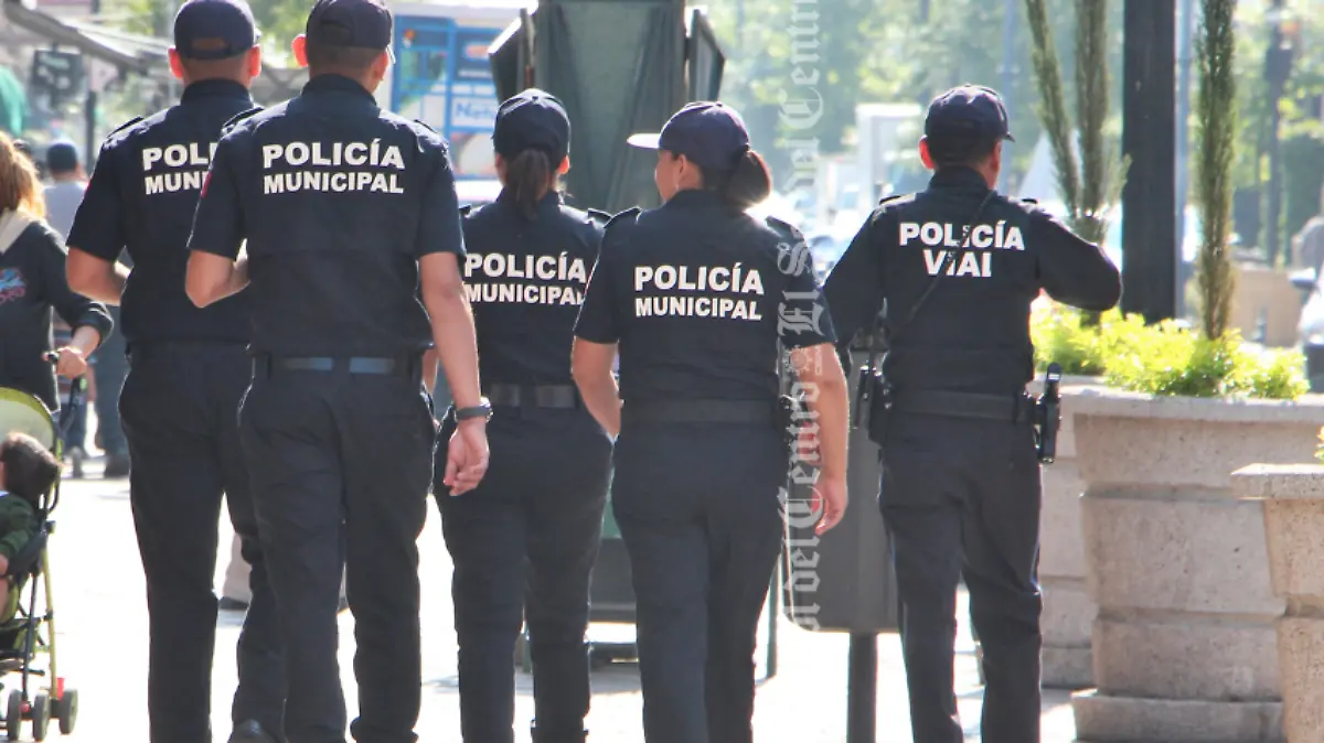 Captura de pantalla 2019-08-25 a la(s) 22.17.25