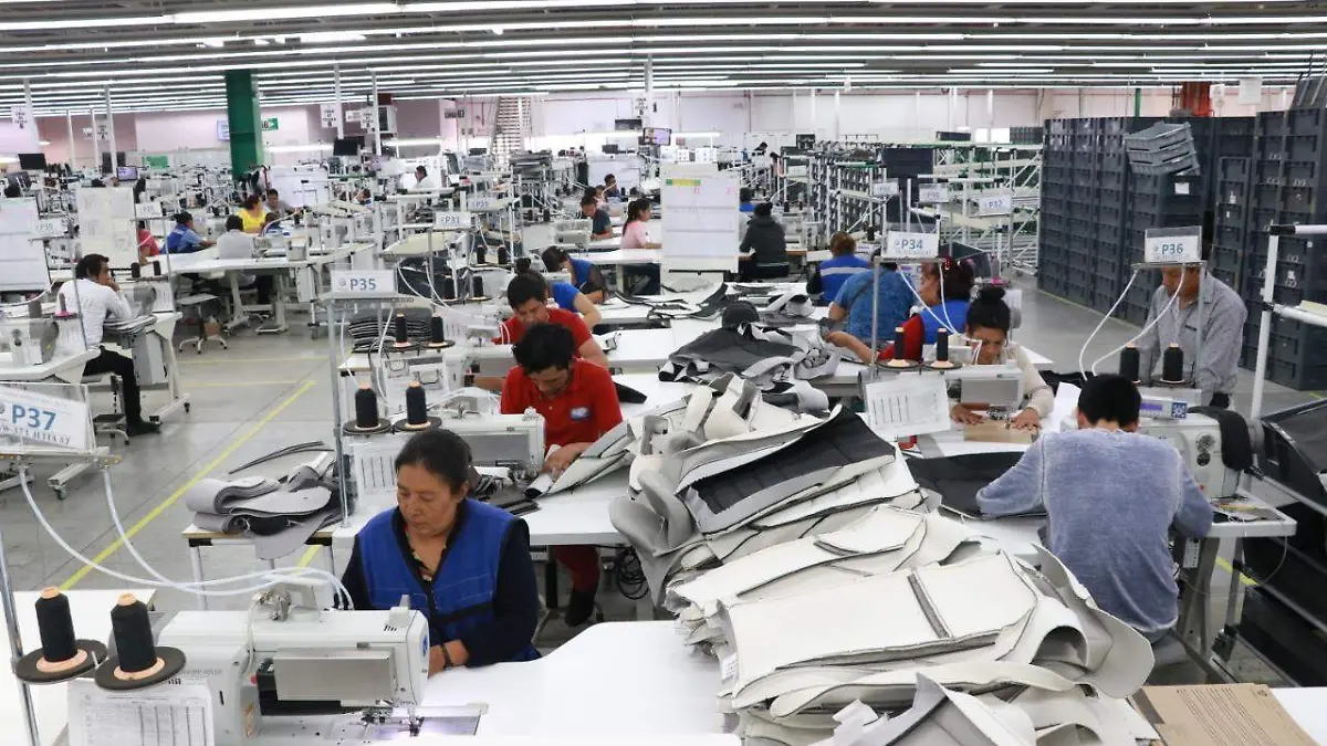 WhatsApp Image 2019-08-25 at 2.57.35 PM