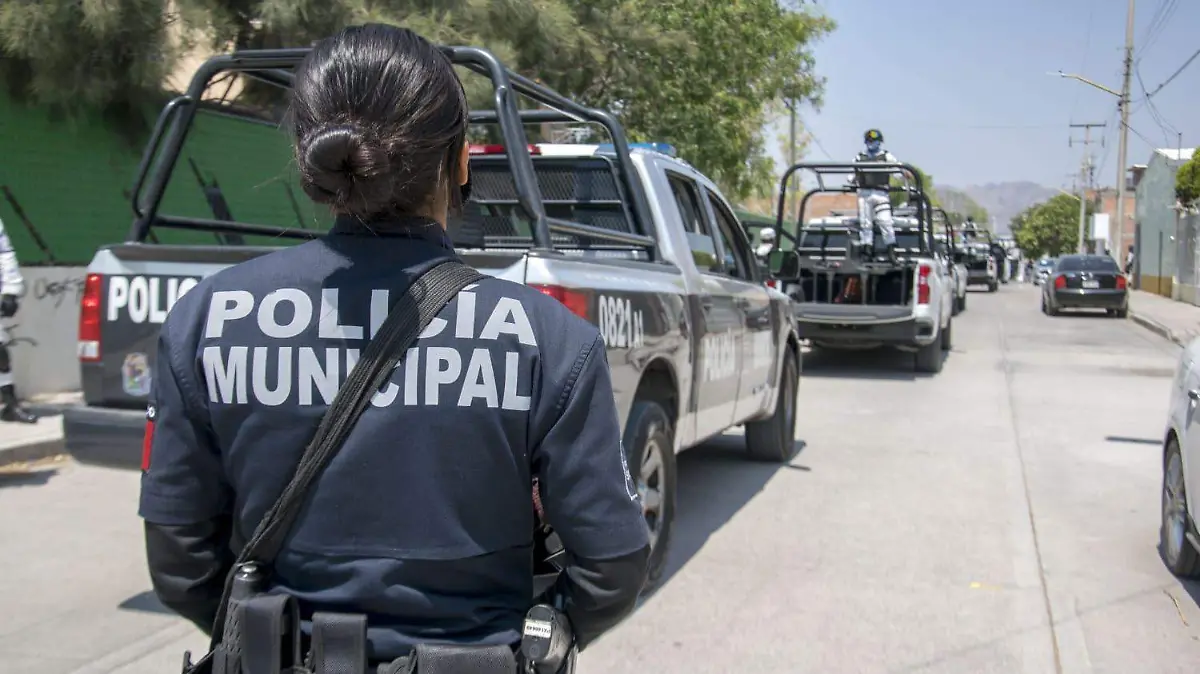 Imagen-de-WhatsApp-2023-07-21-a-las-11.41.11